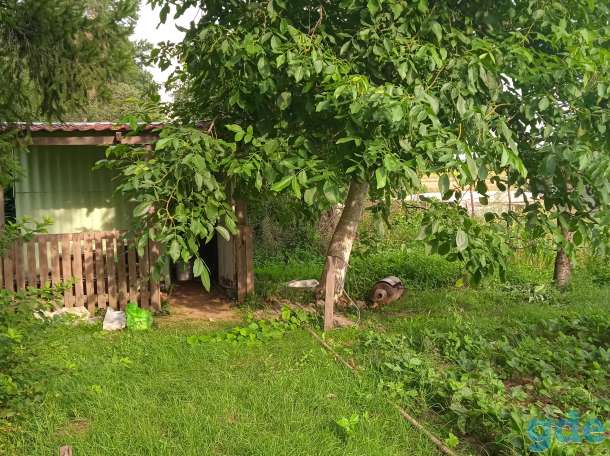 Продам дачный участок, фотография 1