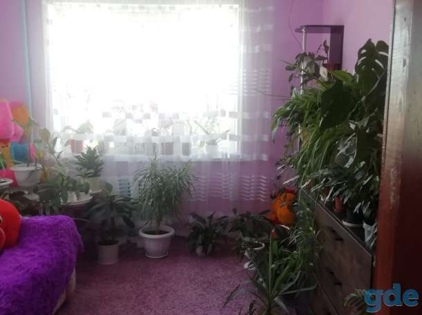 Продам, Гомельская область,, фотография 3