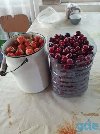 Срочно продам дачу!, фотография 3