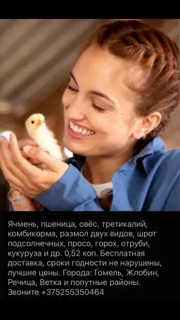 Пшеница, ячмень, овёс, третикалий, шрот, комбикорма и другое, фотография 1