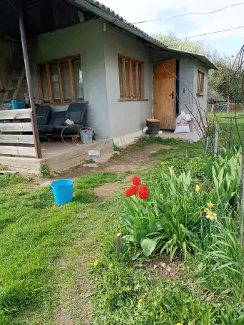 Уютный дом в лесу для души и отдыха. 25 соток уединения, но в деревне с соседями., фотография 1