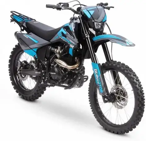 Мотоцикл GLADIATOR C3 CB300, фотография 15