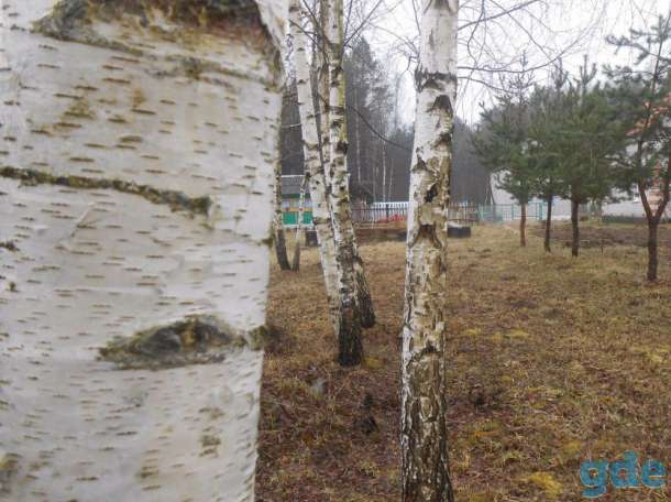 продам дачный участок, Д. Укропенка, фотография 6