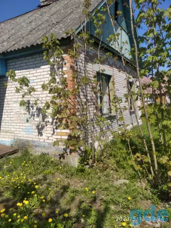 Продать дом, Витебскоя обл.докшицкий р_н.деревня витуничи, фотография 1