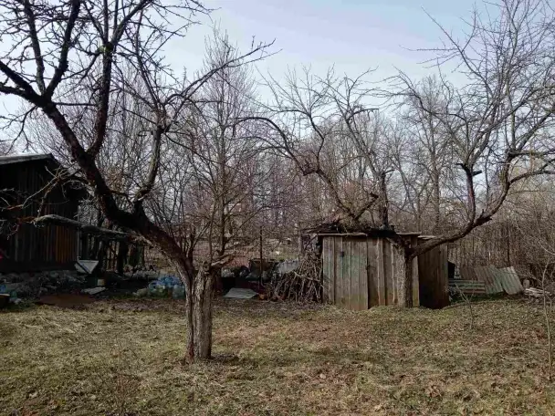 Продам Дачу СебяхиЛазо, 3-й Бурный, 6, фотография 8