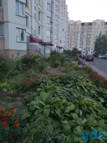 Сдаю 1-комн. квартиру на длительный срок, фотография 11
