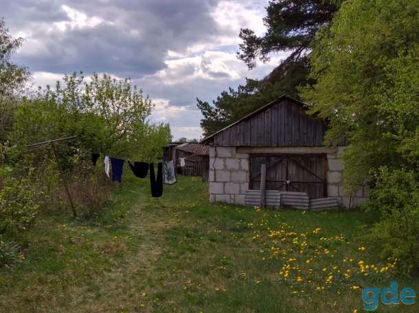 ПРОДАМ УХОЖЕННЫЙ ДОМ В БЕЛОВЕЖСКОЙ ПУЩЕ, Свислочский район, фотография 2