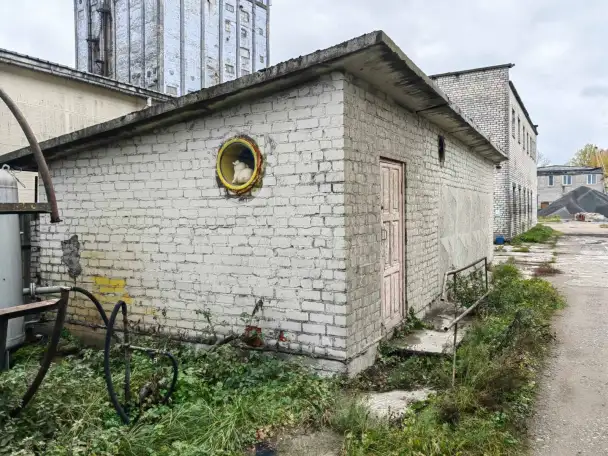 Производственная  база ОАО Мостострой филиал Мостостроительное управление  5, фотография 15