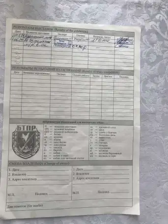 Продажа щенков англо-русской гончей, фотография 5