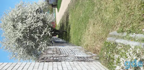 продажа дома, д.Анетово, ул.Липовая, дом 13, Минская обл., Пуховичский район, фотография 16