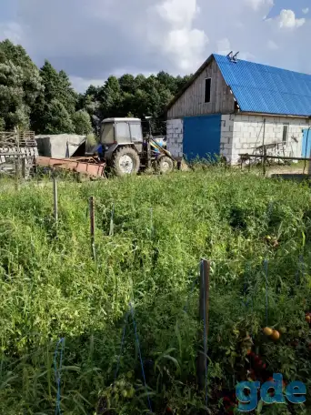 Сельское хозяйства с домом и хоз. постройками и овощехранилищем, фотография 6