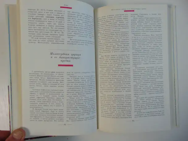 Знахарь в доме Цветы, которые лечат, фотография 7