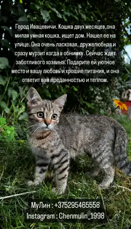0, фотография 1