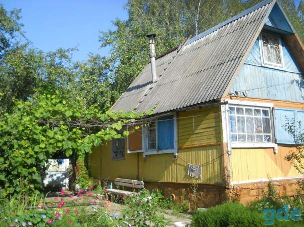 Продам Дачу на реке Сож, СНТ Медиков.Ветковский район, фотография 3