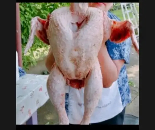 Продам тушку индейки биг 6, фотография 1