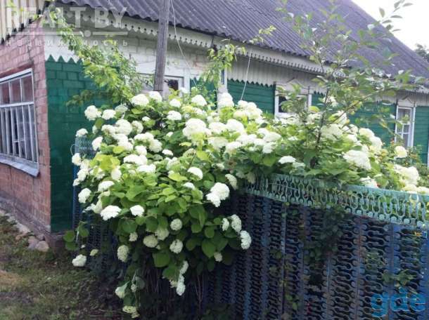Продается дом, участок, фотография 5