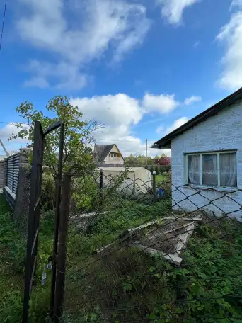 Продажа дачного участка, обл, д.Лятохи участок №207, фотография 3