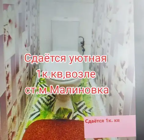 СДАМ 1К.КВ.возле ст.м.МАЛИНОВКА, фотография 15
