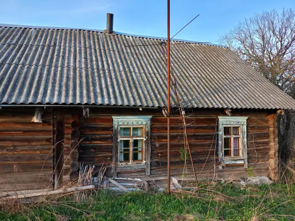 Дом в д. Громницы, фотография 3