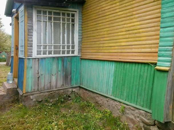 Дом , рядом лес, луг, озеро., фотография 4