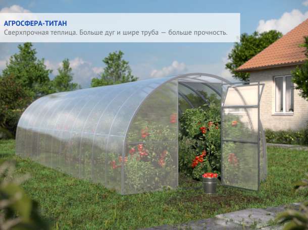 Теплица сибирская 