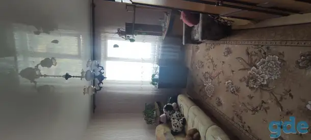 Продам 3х комнатную квартиру, Гомельская область, ул.Строителей 28, фотография 4