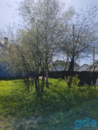 Дом-дача, ул. Родниковая, 17, фотография 5