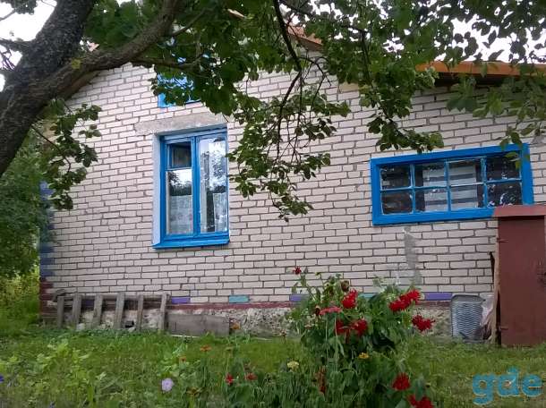 Дом в хорошие руки, Баранки, фотография 1