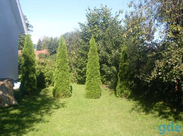продам дом или обмен на квартиру, 222397 ул. Мира, 50 Минская область, фотография 13