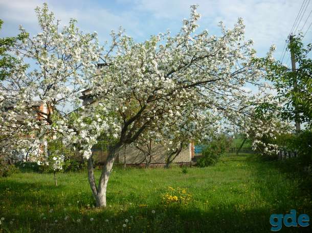 Продажа дома, Новые Самотевичи,  ул.Центральная, д.44, фотография 2