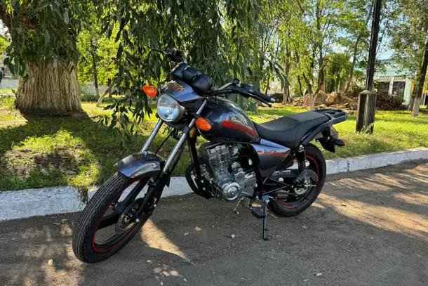 Мотоцикл Хорс Z 150 серый 150 см3, фотография 11