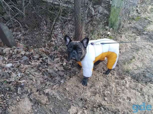 Случка, фотография 1