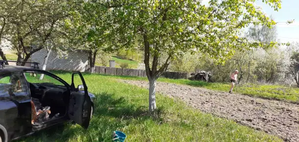 Дача в добрые руки, Ивановская роща, за ж/д путями., фотография 3