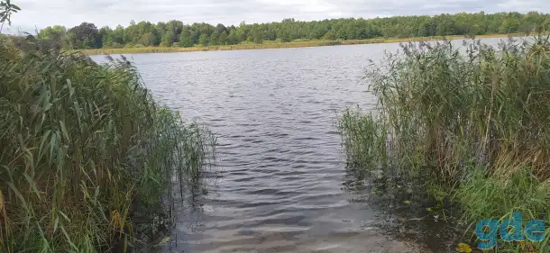 Продам дачу, Полоцкий район СТ 