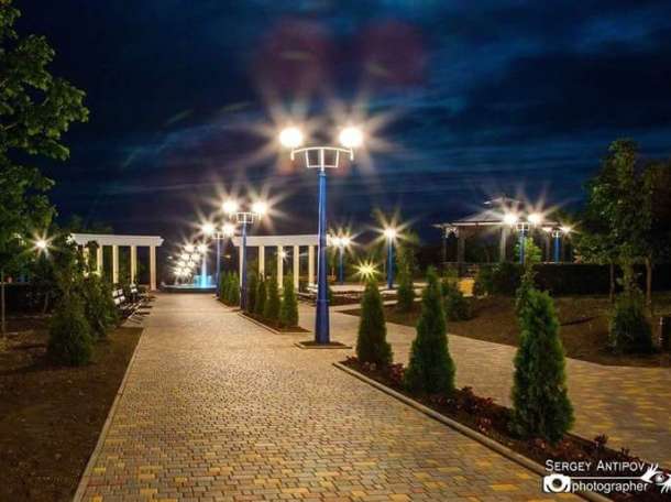 Летний отдых , фотография 3