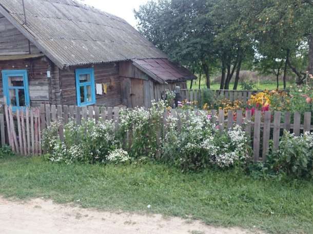 Участок для застройки, область, район, Крупицкий сельский совет,д.Черники, фотография 6