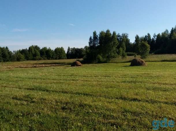 Продам два дома, Магилевская область, кастюковичиский район, п. Селецкое, ул. Центральная, д 5/2, фотография 10