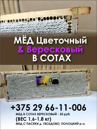 мёд, фотография 3
