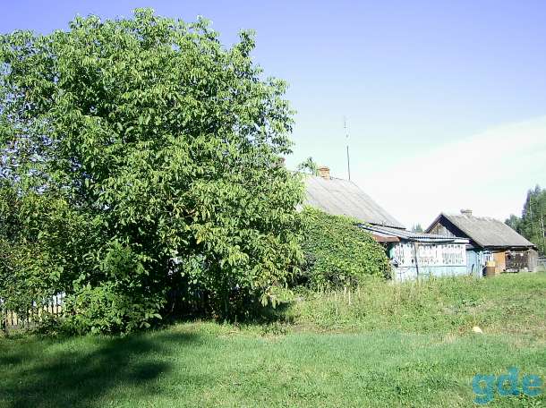 продажа, д. Лешня, Мозырский  район, фотография 4