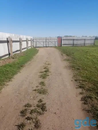 Продам лпх, фотография 1