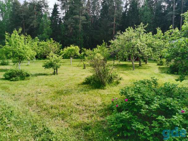 Обкос травы в д.Прудок, фотография 7