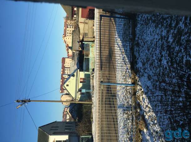 Джек Рассел мальчик, фотография 3