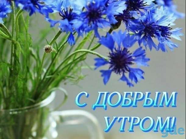 Клининг и строительство., фотография 1