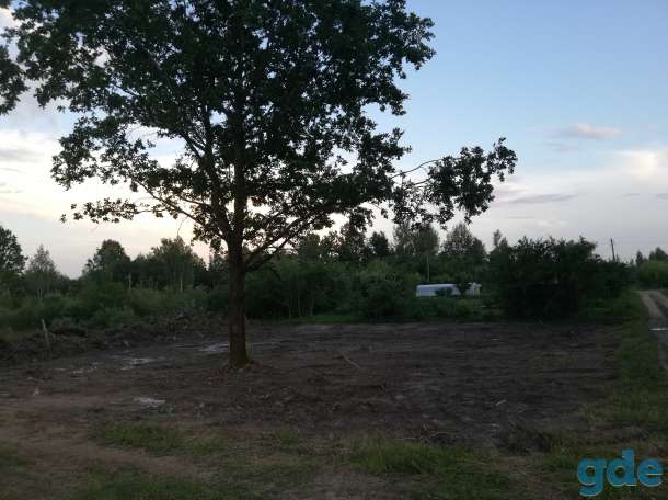 Участок дачный 10 соток, д. Мерковичи Логойского р-на, фотография 1