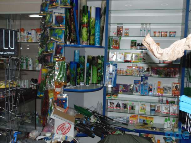 Ищу компаньонов или продам  зоомагазин., фотография 6