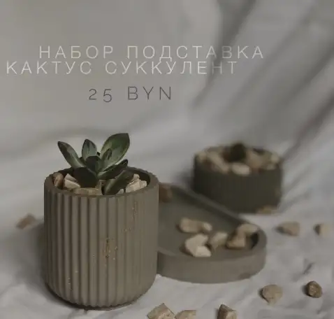 Растения, фотография 12