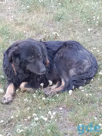 SOS, фотография 1
