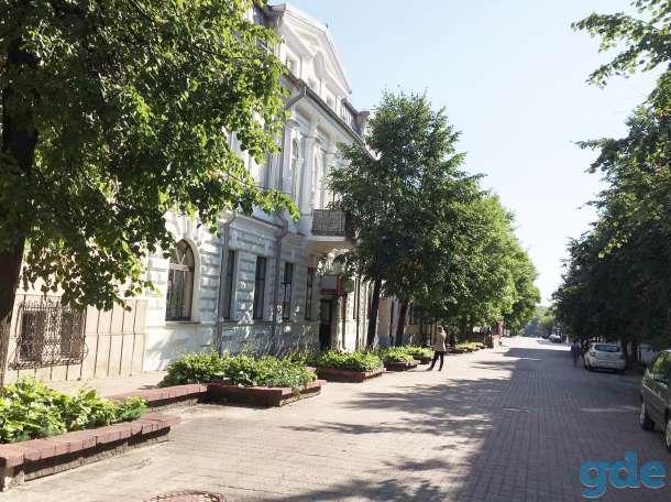 Двухуровневая квартира с действующим камином 140 кв.м., фотография 9