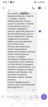 Репетитор по русскому языку и литературе, фотография 3