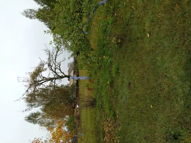 Продам дом, Д.Слобода ул новая д 3, фотография 4
